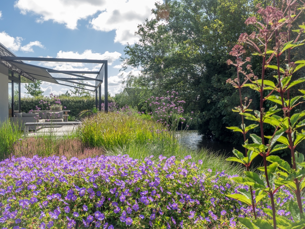 LIV design - tuinontwerp - poolzonde - westland LIV design - tuinontwerp - poolzonde - westland
